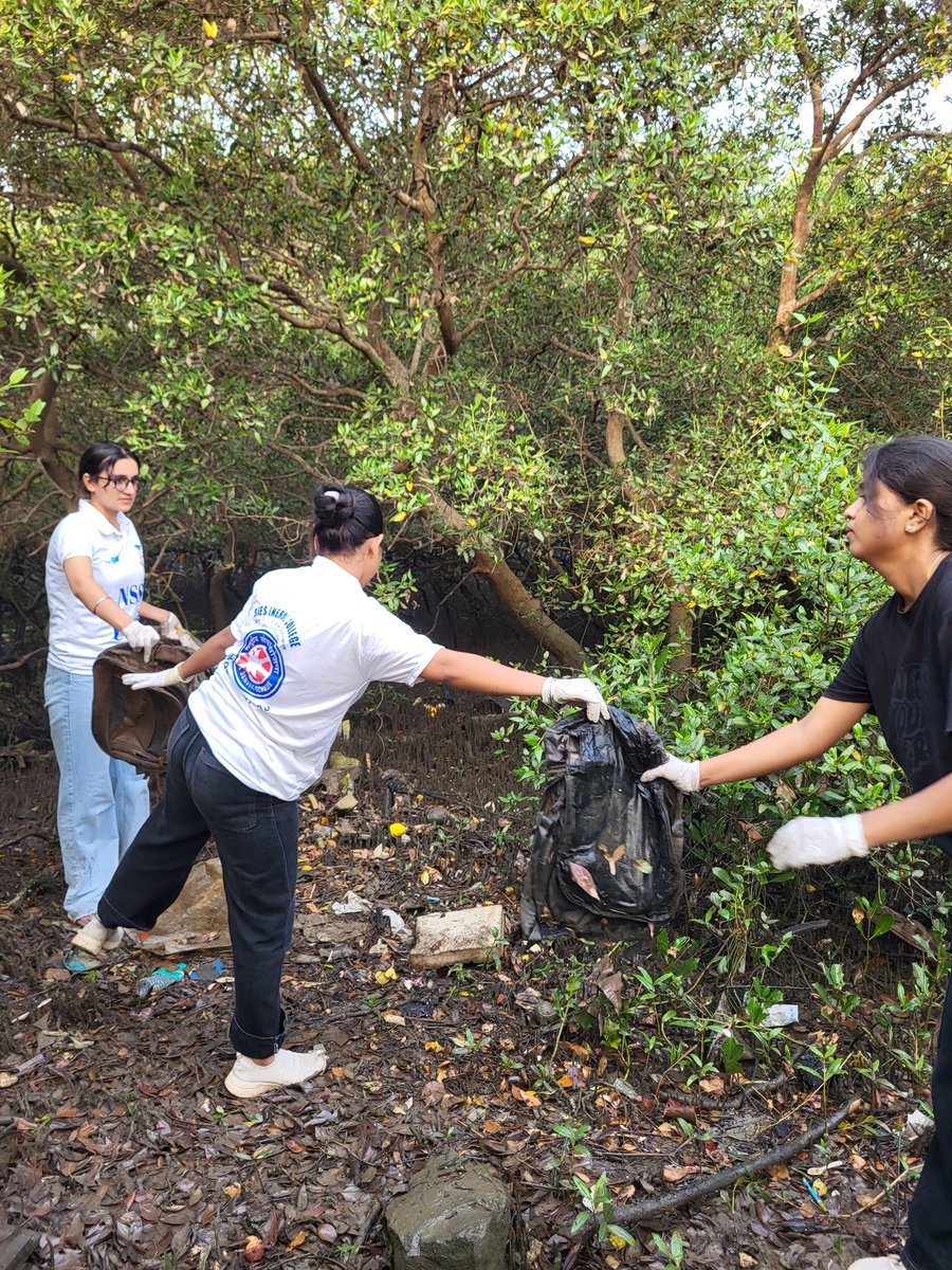 dharmeshbarai's tweet photo. Week 222 #MangrovesCleanupDrive
We need to fix civic issues, and both citizens and politicians are equally responsible. To do so, we must vote for the right candidates in the Maharashtra Assembly elections. Agar aap vote nahi karoge, toh kal bolne ka hak kho doge.
#VoteFirst https://t.co/JAjWZhv7j4