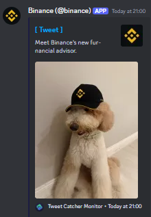 cookout in the discord.

PvP is easy if your early bid them all 

If not bid supply sent 

If none sent supply bid first bond / best ticker

I bid all and made alot thank you solana still sold pico bottom on fur but we move