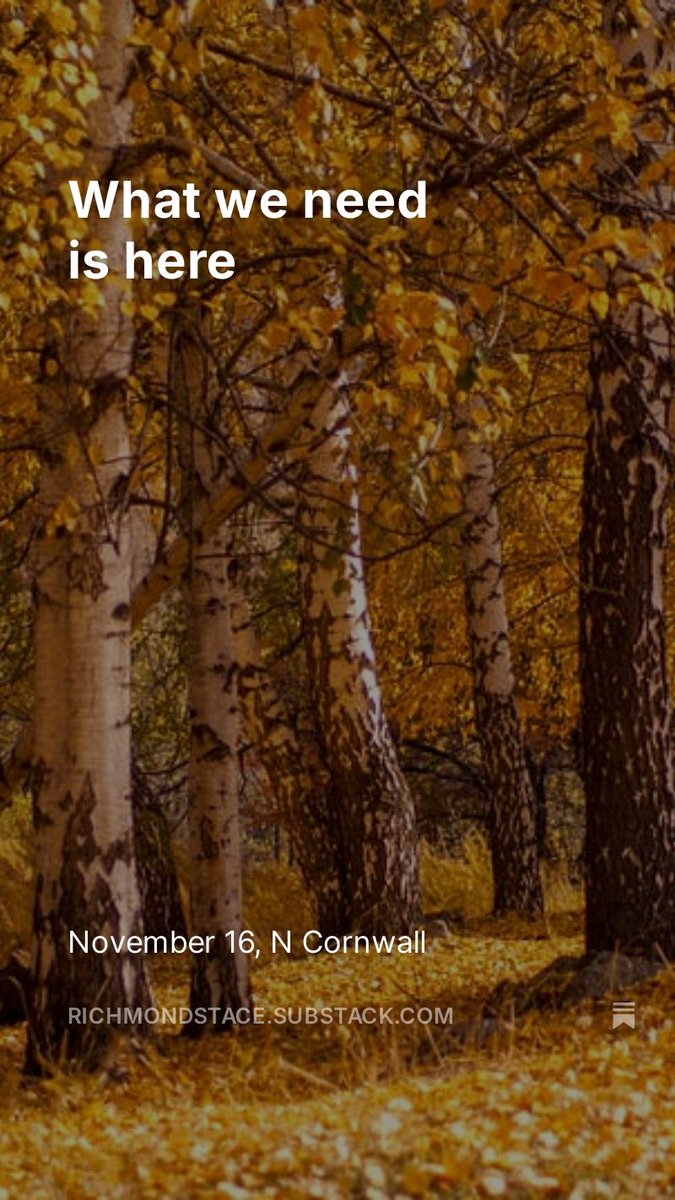 Richmond Stace - The Pain Coach tweet media