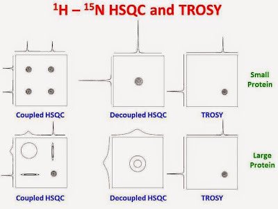 What is a TROSY NMR spectrum and how does it differ from an HSQC spectrum?  u-of-o-nmr-facility.blogspot.com/2015/05/trosy.… #nmrchat