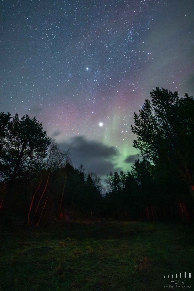 Nuwan Bandara tweet media