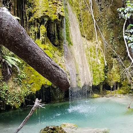 NewCaledonia's tweet photo. 🌄 #SaddleUp for #adventure in #EternalNewCal! ✨ Meet Pascale, #manager of #StationLes3Creeks in #Koumac 🌿
Stay in a #chalet, #savour #WoodFiredBroussardCuisine, #explore enchanted #forests, and hear #tales from the #past in #caves! 🕯️
Learn more ➡️ https://t.co/2sAEs5zSSa https://t.co/B9jauA1MNf
