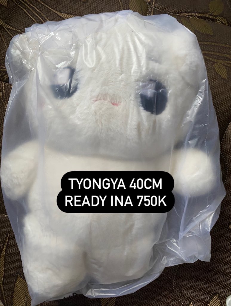 madkcity's tweet photo. WTS // want to sale  

TYONGYA DOLL 40CM 

ready indo 750k bisa via oren https://t.co/INAPU0G3OW