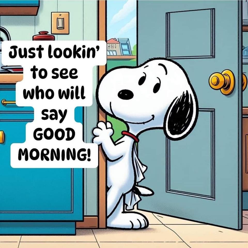 Steph ★✩*🦋 tweet media