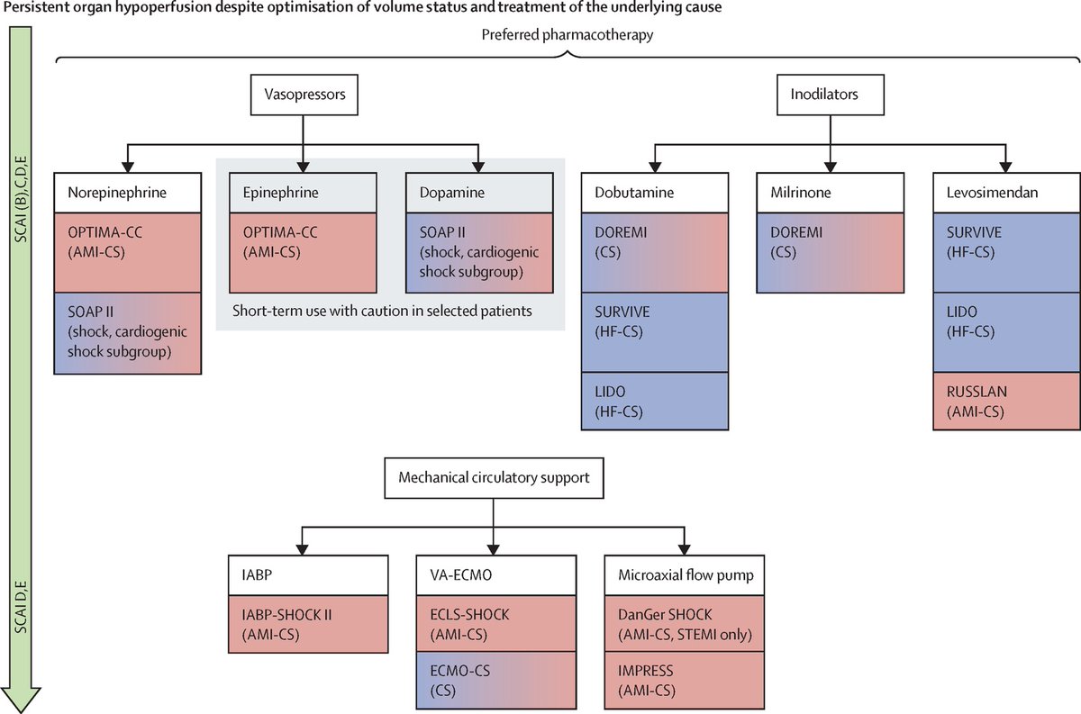 Cardiogenic Shock

CCR Journal Watch
criticalcarereviews.com/latest-evidenc…

Get the latest critical care literature every weekend via the CCR Newsletter - subscribe at criticalcarereviews.com/newsletters/su…