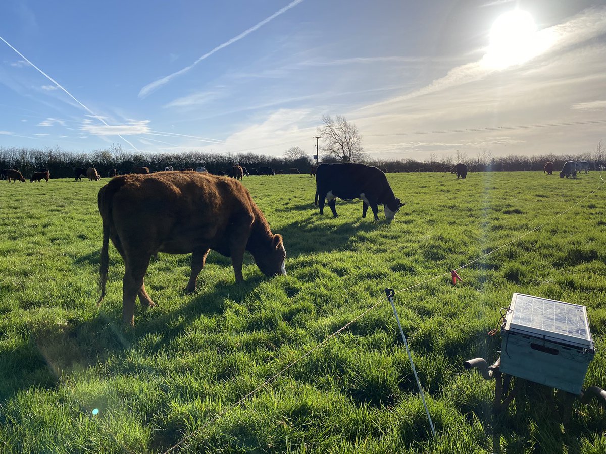 Andy Rumming tweet media