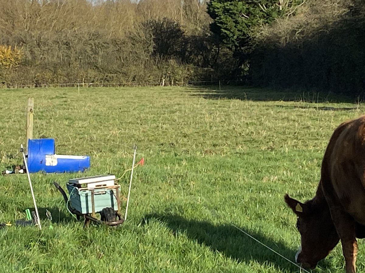 Andy Rumming tweet media