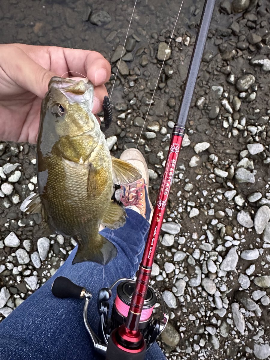 haruggera771's tweet image. フェザータッチ入魂😌
#HEARTLAND #FeatherTouchTechnical
#AIRITY