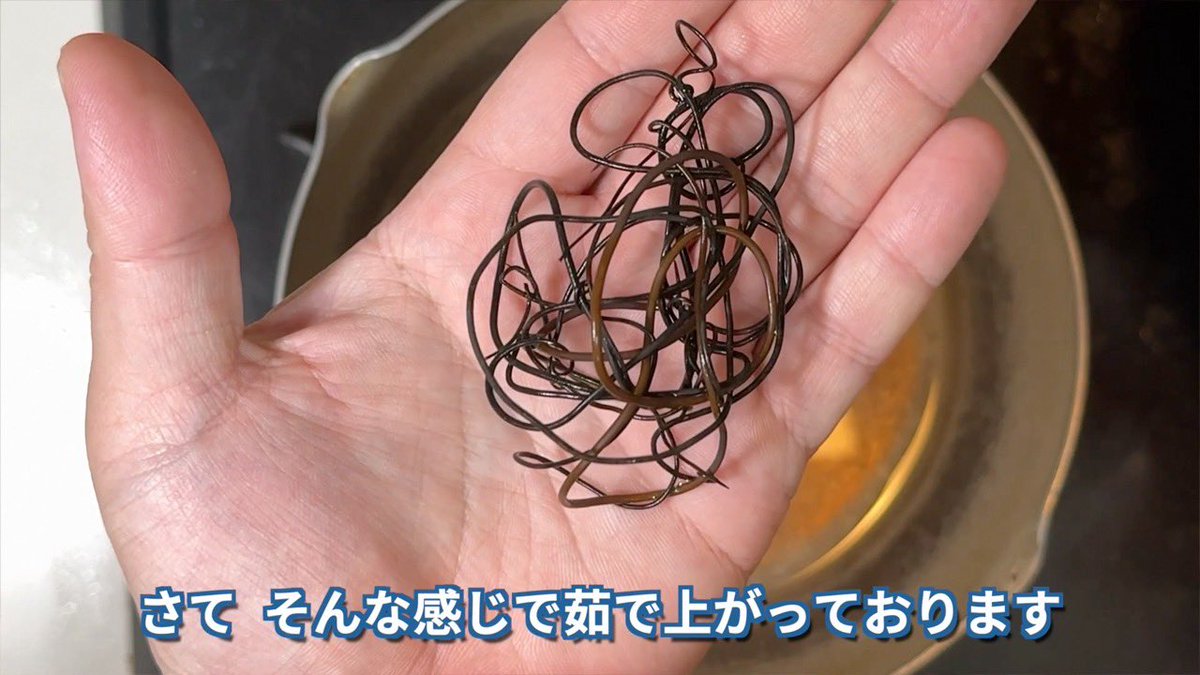 YouTube】 数多の寄生虫のなかでも最も興味深い生態をもつハリガネムシ