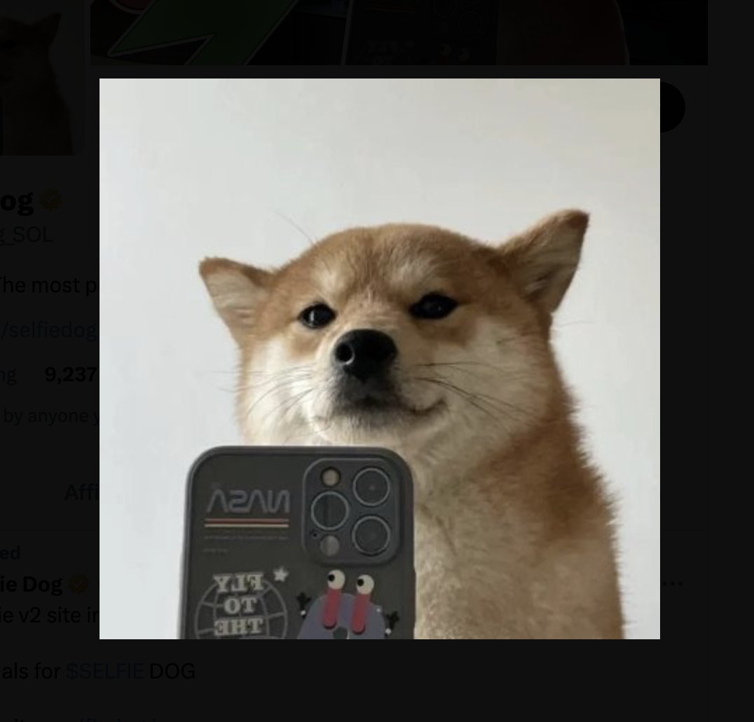 We will list $SELFIE <a href="/SelfieDog_SOL/">Selfie Dog</a>

If this Tweet will reach  100 RT and 500 Likes and 100 Comments  #selfie 

$SBTC + $SELFIE

🔴Don't forget to follow <a href="/secondbtcex/">SecondBTC</a> for Updates  

#solana #SolanaMemeCoins #PumpFunLaunch #SolanaMemeCoins