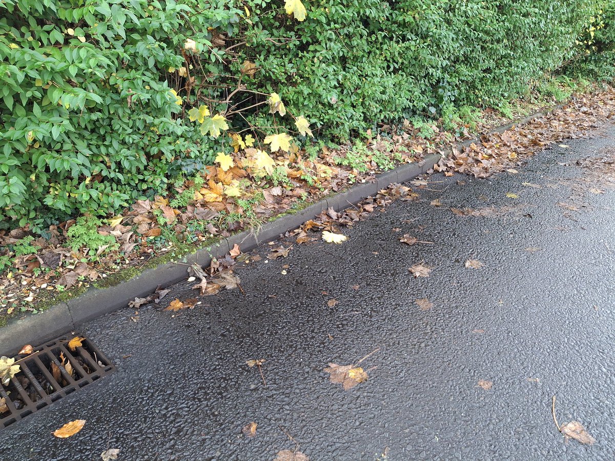 Hi <a href="/fyldecouncil/">Fylde Council</a> many thanks for sending the gully sweper on Sat to clear the leaves over the grid. Pity they couldn't have done the rest of the stretch of road as these leaves will be blocking the grid next week. DM me if you want the location.