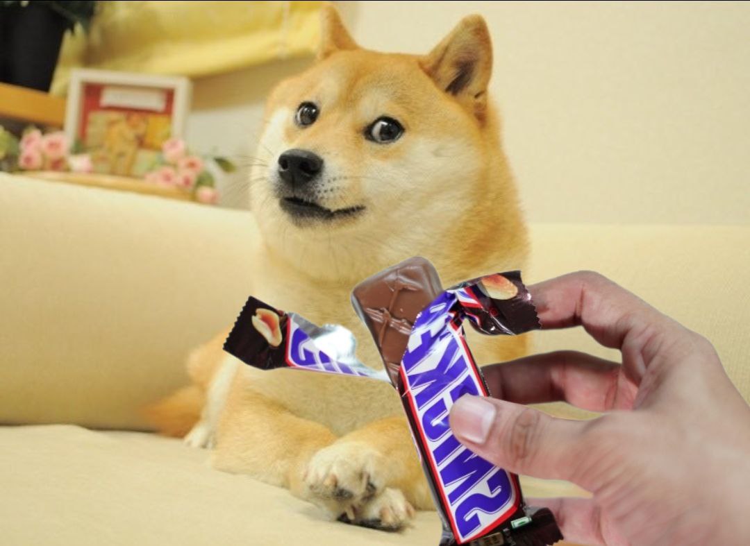 <a href="/level941/">941</a> #Snickers for $Doge

kkqmUTZakCFEXXDycdw9D5GyG7amEZwPN1JYysAgXcG