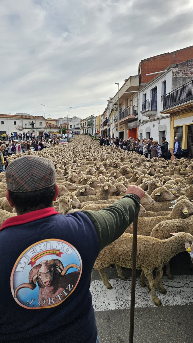 Camino Limia tweet media