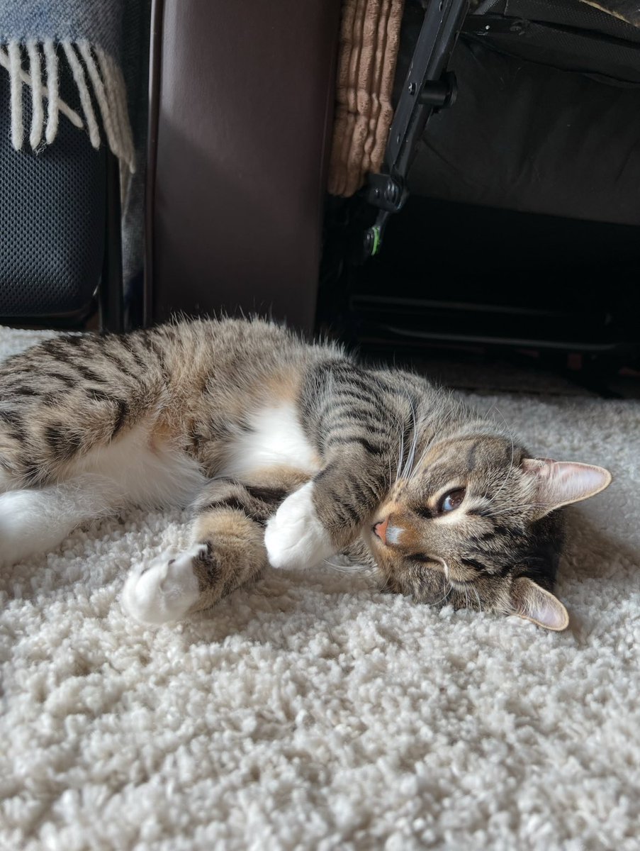 Вчера искала фотографии ковра в телефоне. Эти фотографии ковра…