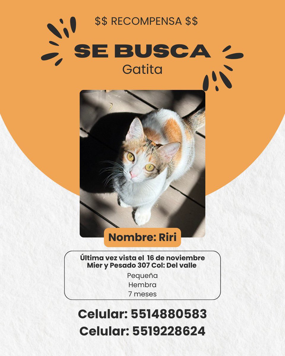 lilchiks's tweet photo. 🚨🚨POR FAVOR COMPARTAN🚨🚨

Nuestra gatita se perdió y fue vista por última vez en Mier y Pesado 307, Col. Del Valle. Es muy dócil, tiene 7 meses y es blanca con manchas naranjas y grises.

Ofrecemos recompensa a quien nos ayude a encontrarla. 🙏 https://t.co/NquRrG1rgs