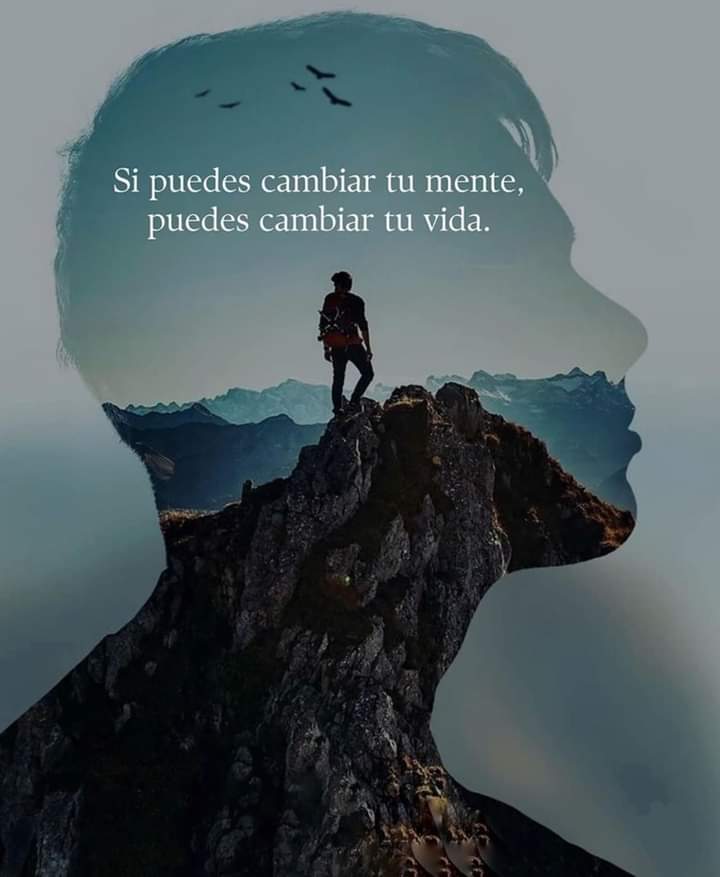 VidaEquilibrada (@vidaequilibrad4) on Twitter photo 