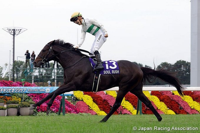 blindadosalas1's tweet photo. #Hipismo SOUL RUSH 🇯🇵 se impuso hoy con claridad en el #MileChampionship disputado en #Kyoto. El seisañero hijo de RULERSHIP se llevó su primer #GradoUno El favorito y múltiple #Grade1Winner CHARYN 🇮🇪 apenas hizo el 5° puesto y sus conexiones anunciaron que no volverá a correr. https://t.co/MC2GGHvKaC