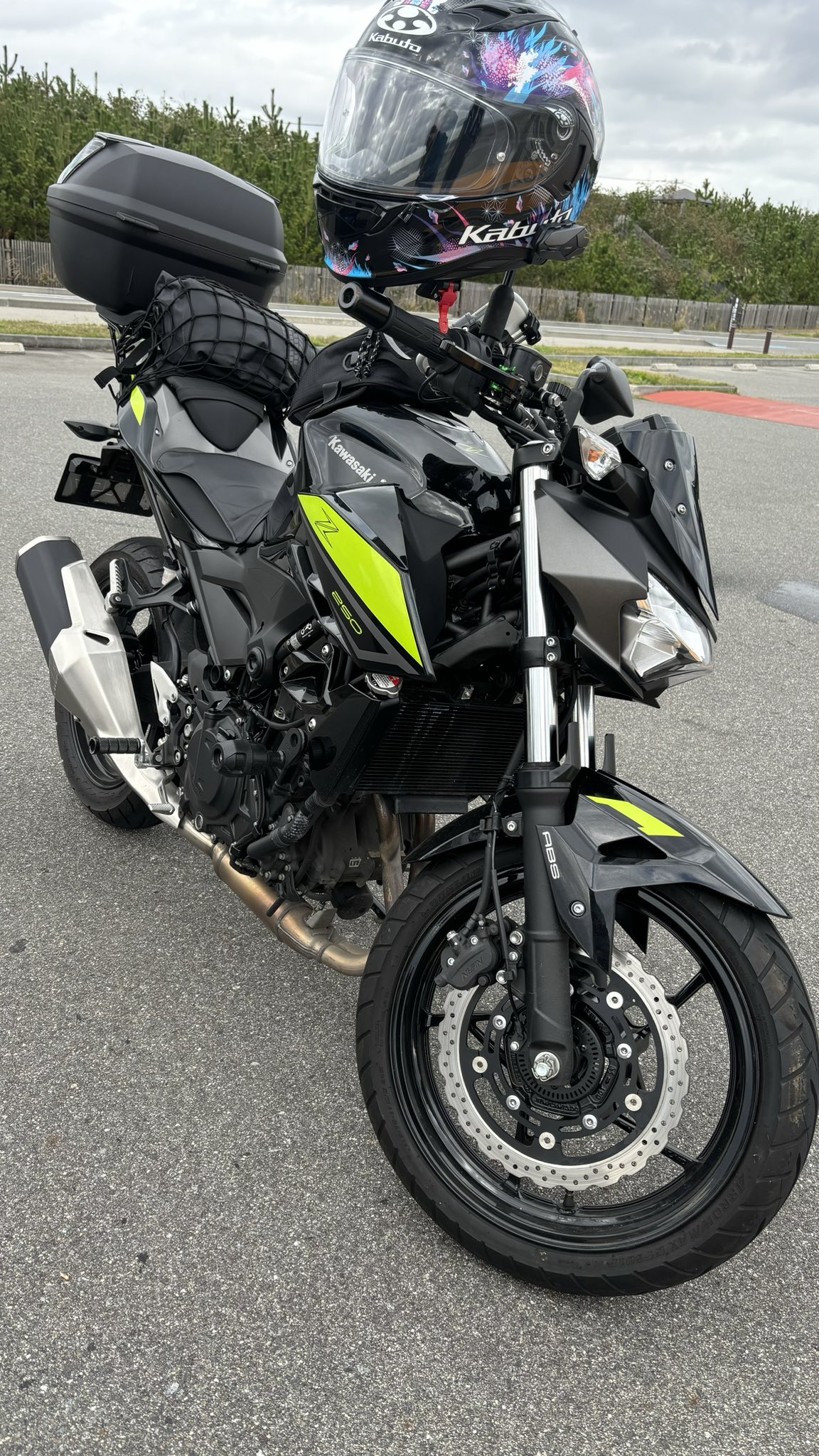 あしめろ (@ashitakameron) / X