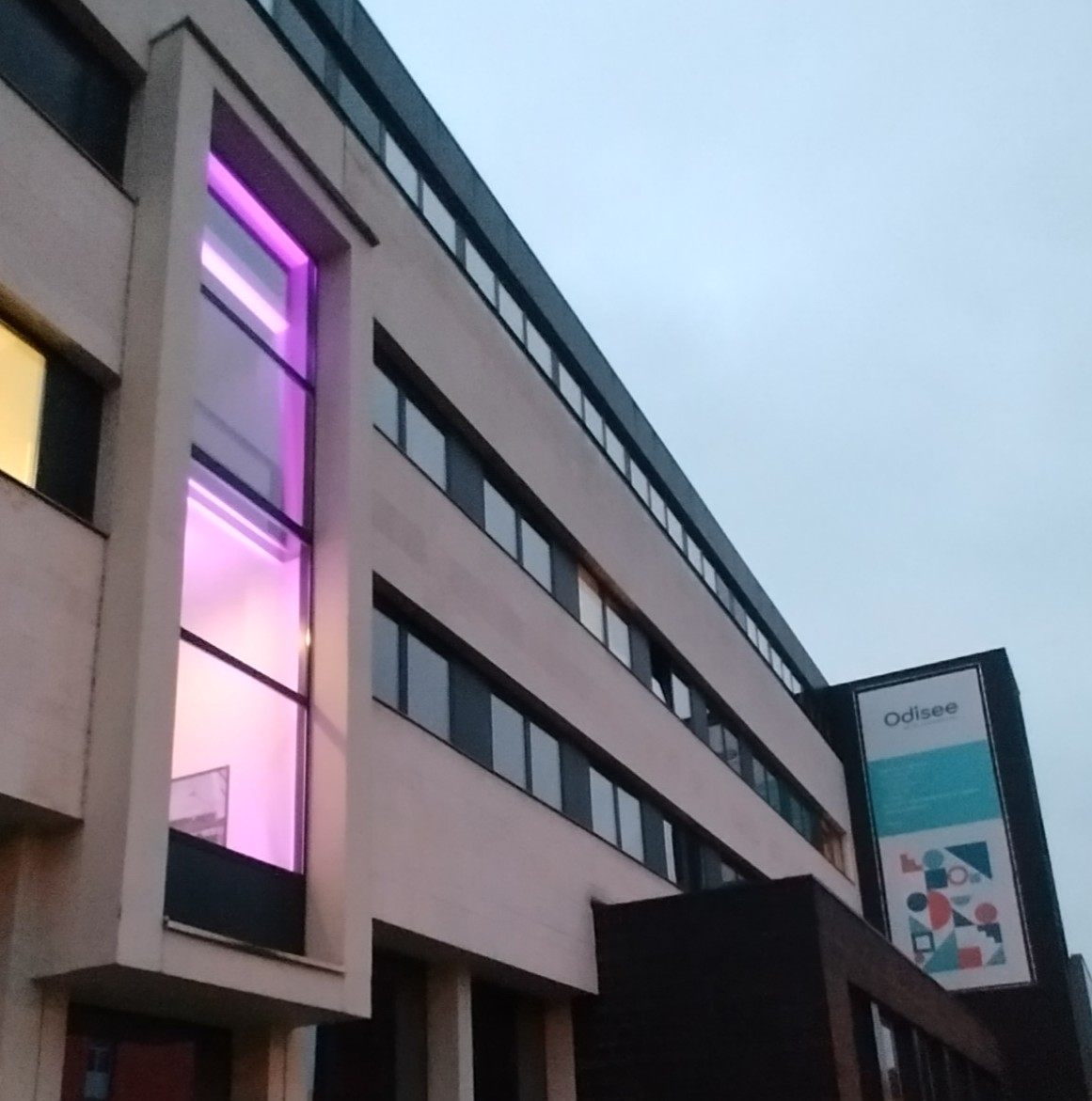 Inge Tency tweet media