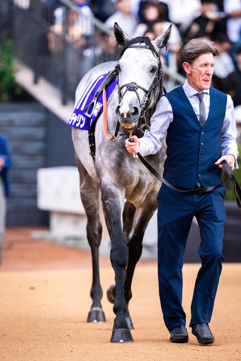 stay_h_p's tweet image. たくさん撮ったので...
致死量のチャリンを良ければどうぞ...笑

#Charyn
#チャリン
#マイルCS