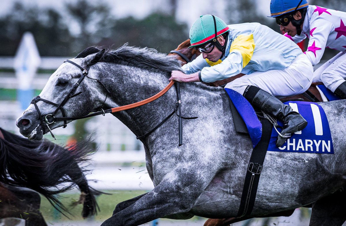 stay_h_p's tweet image. たくさん撮ったので...
致死量のチャリンを良ければどうぞ...笑

#Charyn
#チャリン
#マイルCS