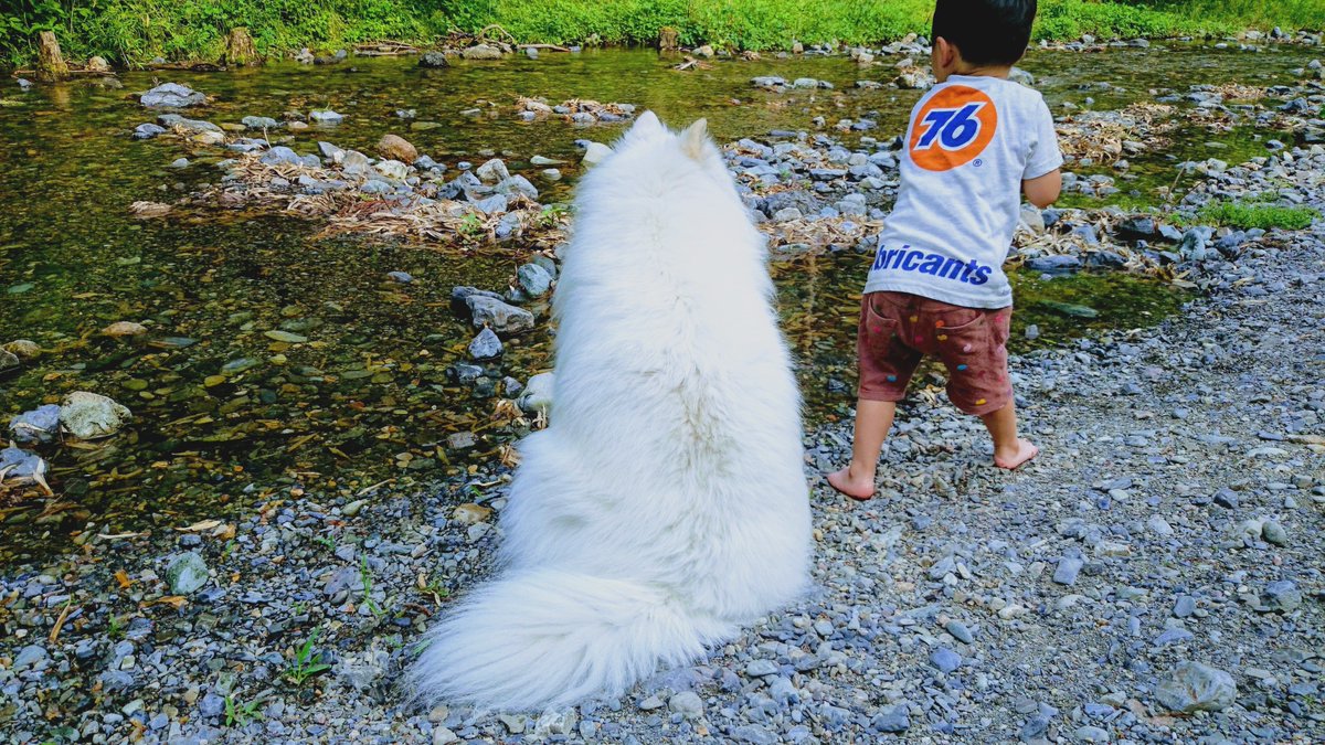 bobobon_wacchan's tweet image. 大好きな心和の後ろ姿