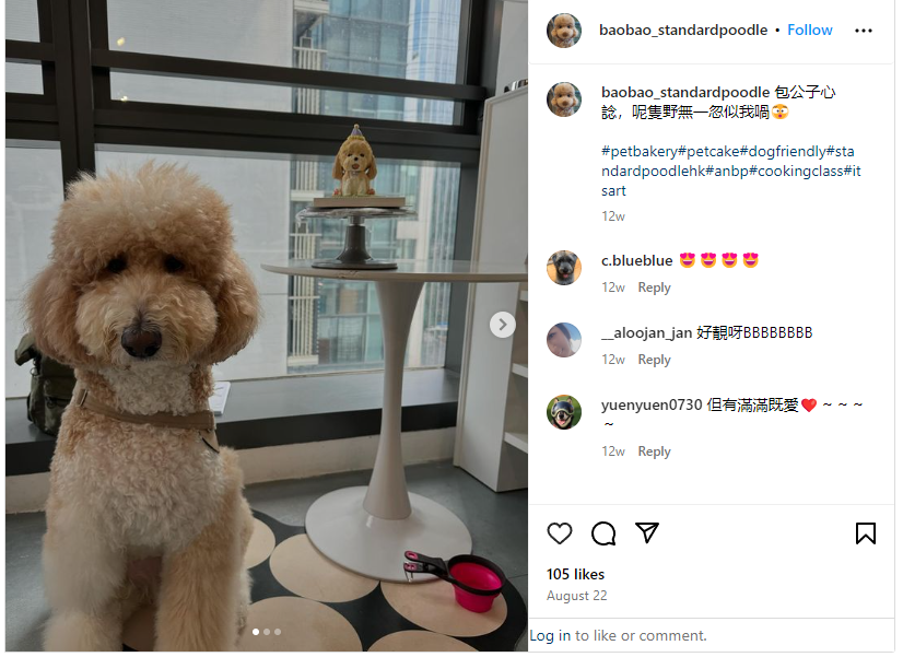 iamshunph's tweet photo. @binance Guys it's $BAOBAO
3Xu3Qf2NRrbcDsQjV1B8mndGndS2ATVSMVtgX2Tkpump https://t.co/NRRkrEeUpl