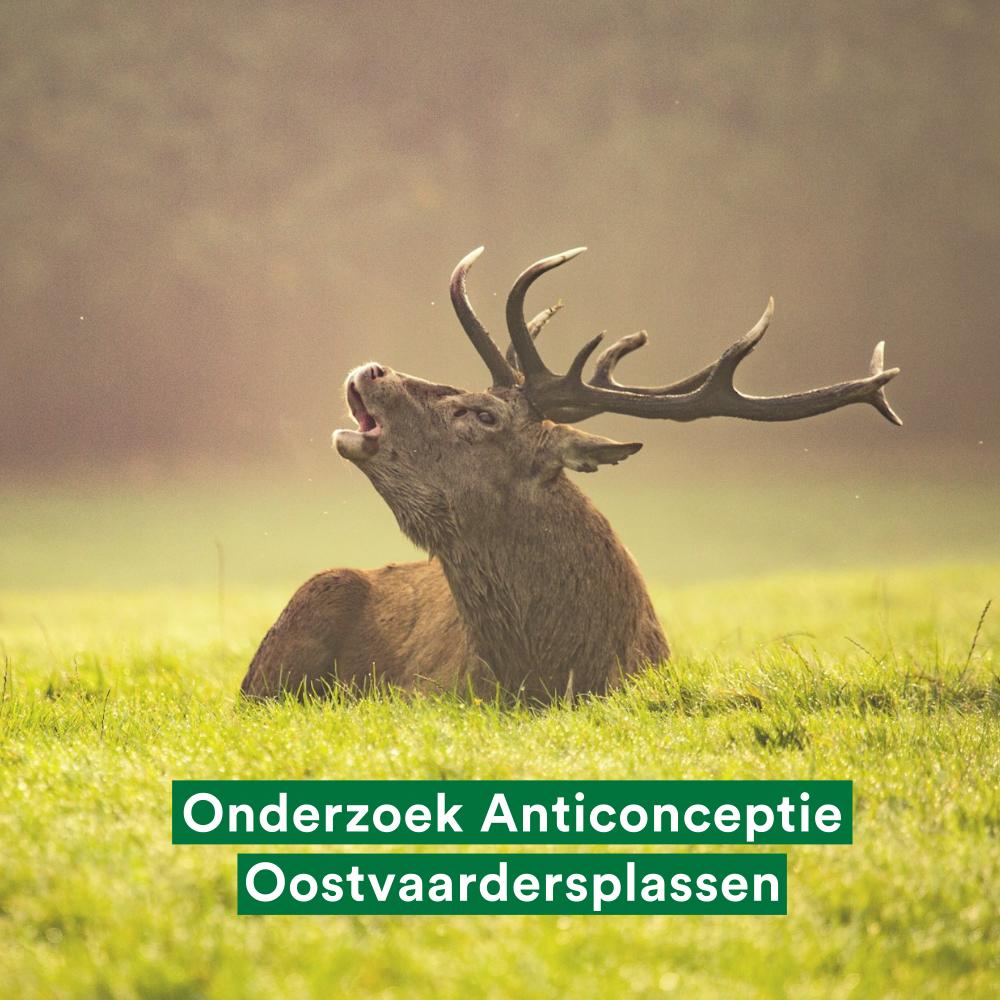 Partij voor de Dieren Flevoland tweet media