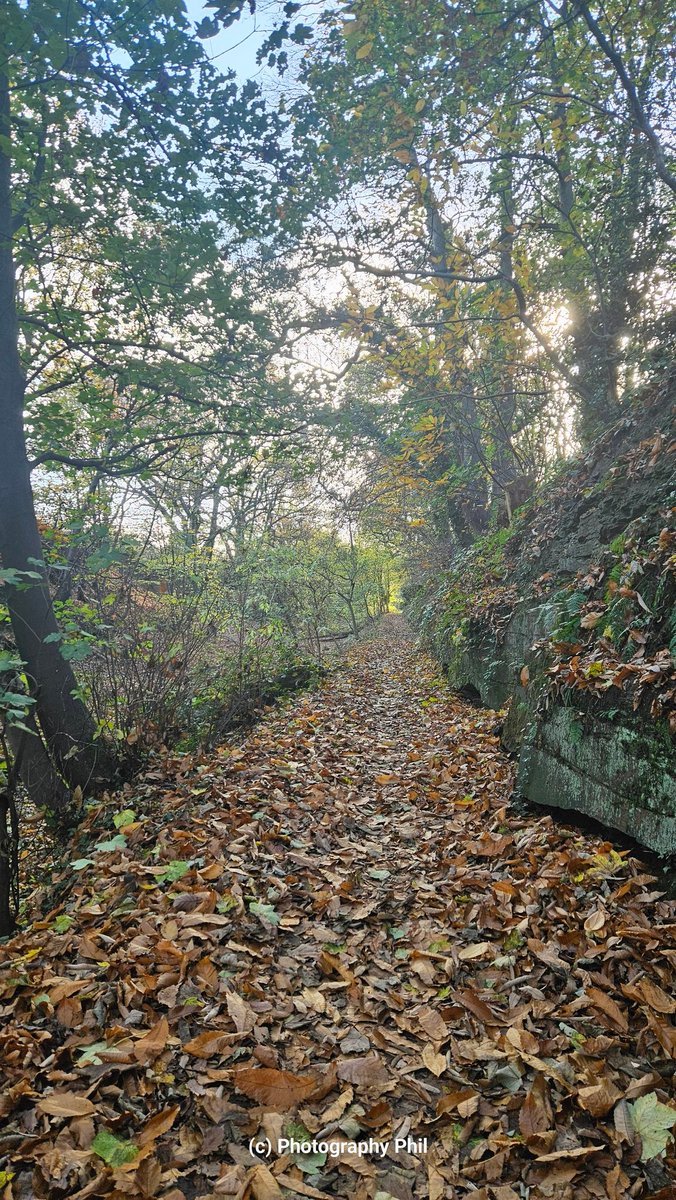 Photography Phil tweet media