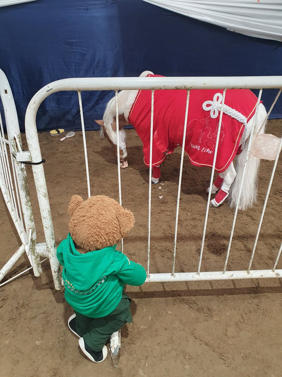 BDMed_Bear's tweet photo. Today I'm at the hobby horse National championships at Arena UK where everyone is having a lot of fun! Lots of stalls, a lovely cafe, miniature ponies & lots of friends to meet! #bearswithjobs #hobbyhorse #Nationalchamps #ponies #infuencers #competition #arenauk https://t.co/qWnMlwQ0AR