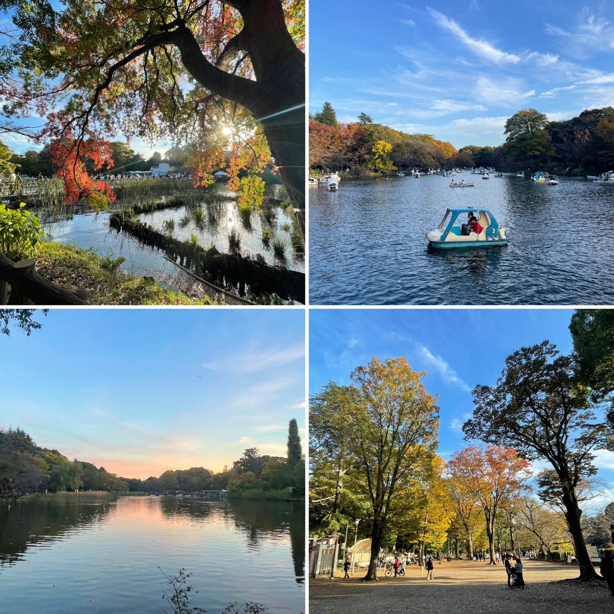 missi0429's tweet image. 部活📸

3回ぐらいはぐれた😂
「るいさんスピーディーだから🥹」

反省します。
でもカメラ部員よりマイペースな人あまり居ない気がするw

#iphone12pro