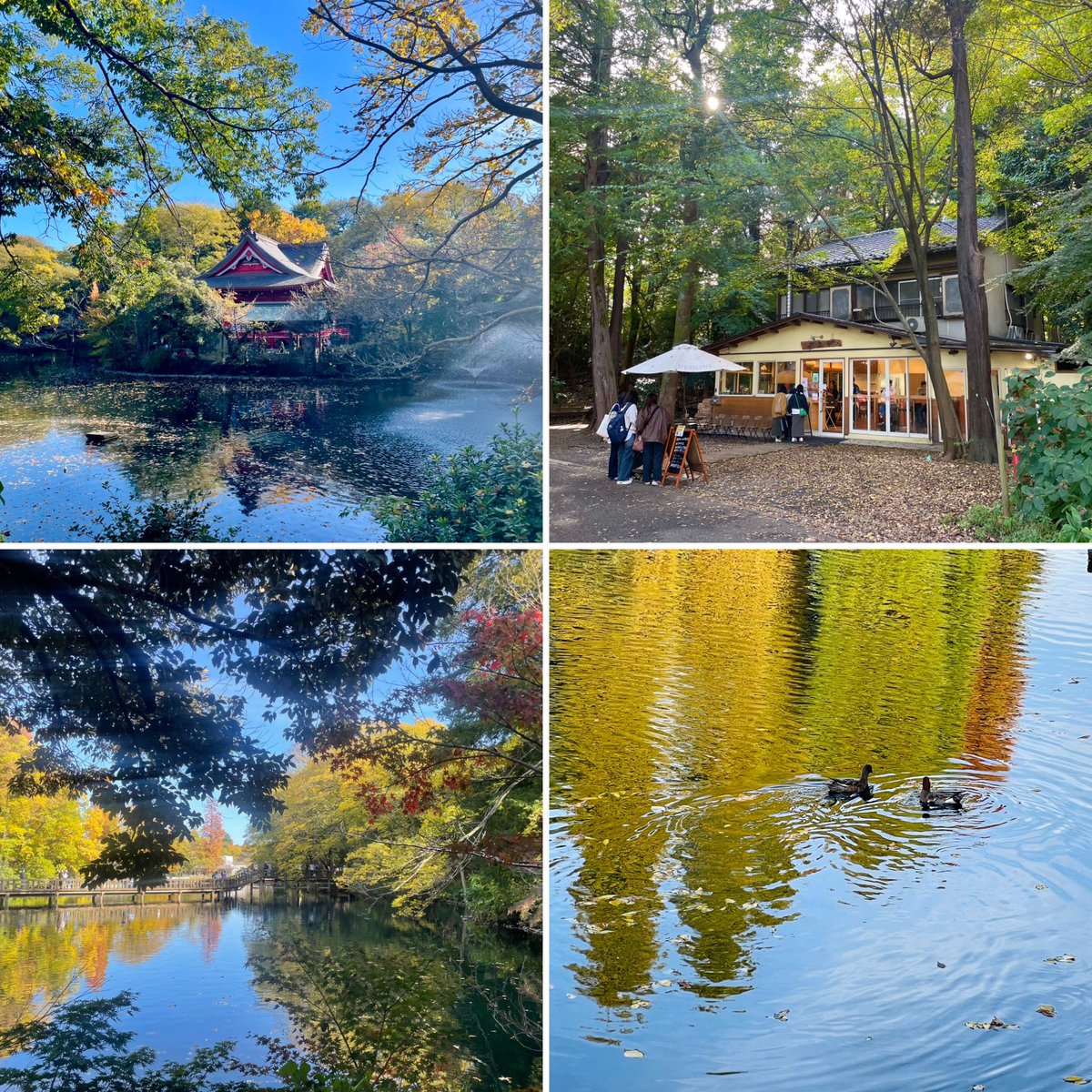 missi0429's tweet image. 部活📸

3回ぐらいはぐれた😂
「るいさんスピーディーだから🥹」

反省します。
でもカメラ部員よりマイペースな人あまり居ない気がするw

#iphone12pro