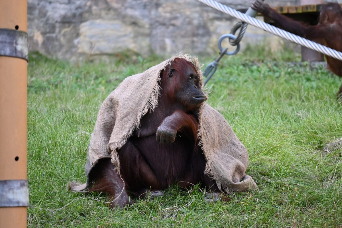 Do Little
kangaeroo.com/2024/11/17/do-…