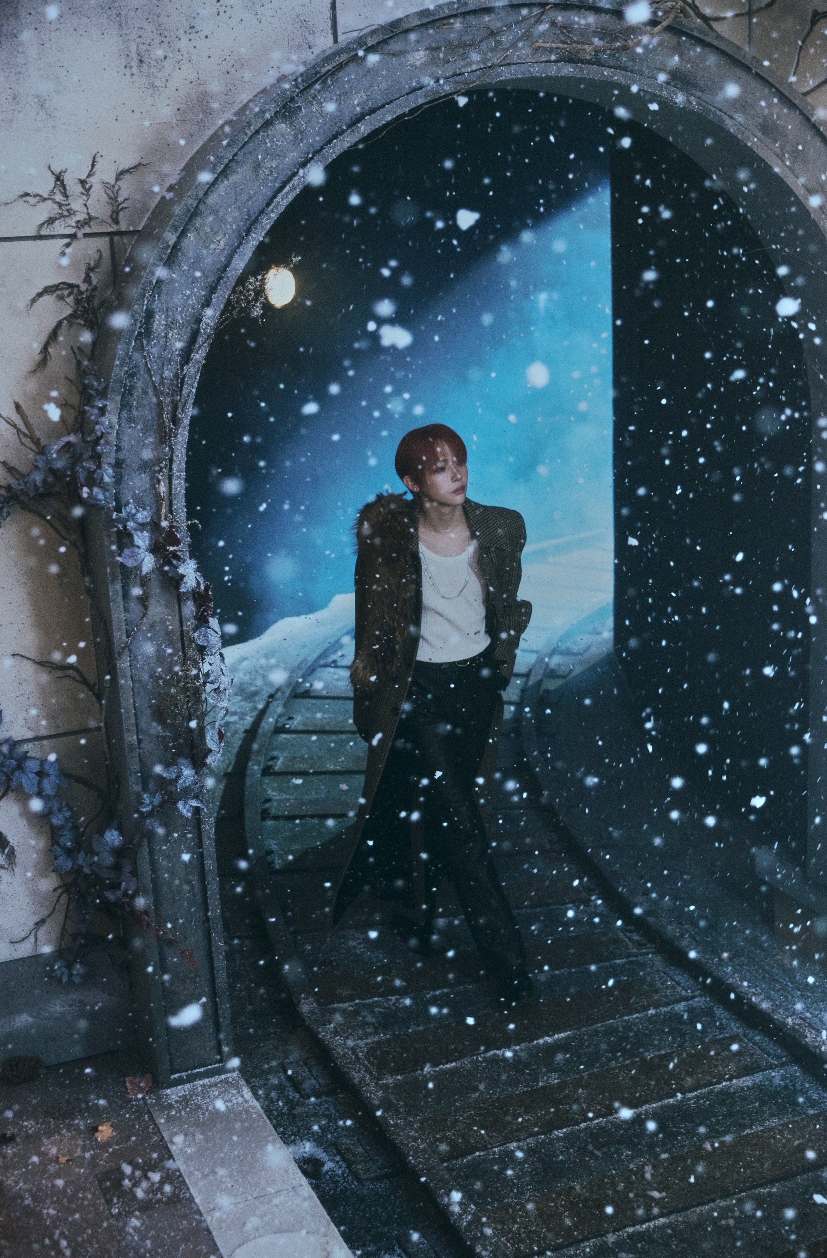 &TEAM 雪明かり 望ん CD NICHOLAS
