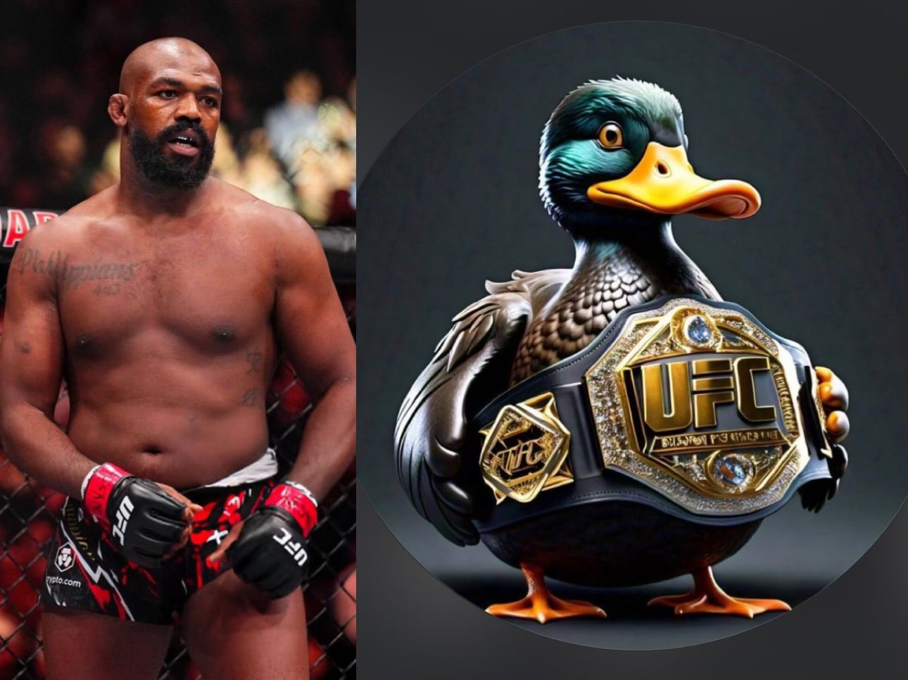 GclUrQqWkAEEYjH.jpg:large