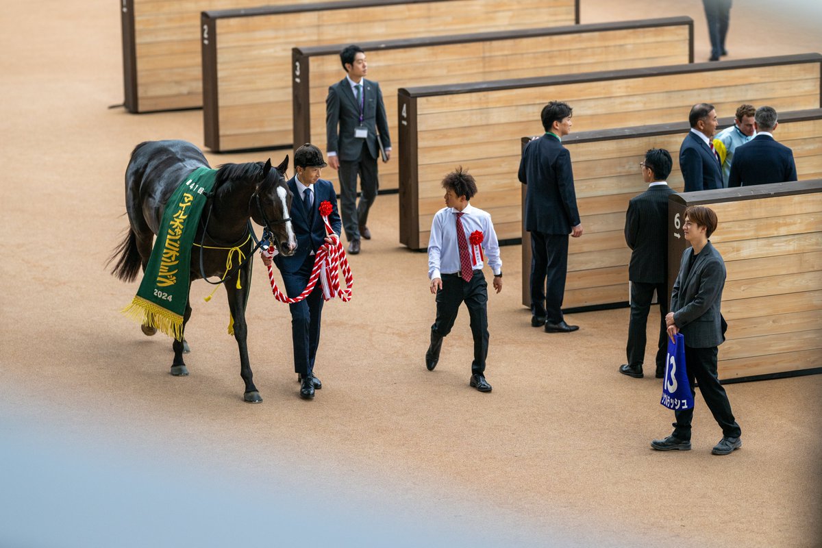 RulerRulership's tweet photo. G1 マイルチャンピオンシップ

1着 ソウルラッシュ × 団野大成騎手

俺たちがマイル王だ https://t.co/Q6atjUVpVo