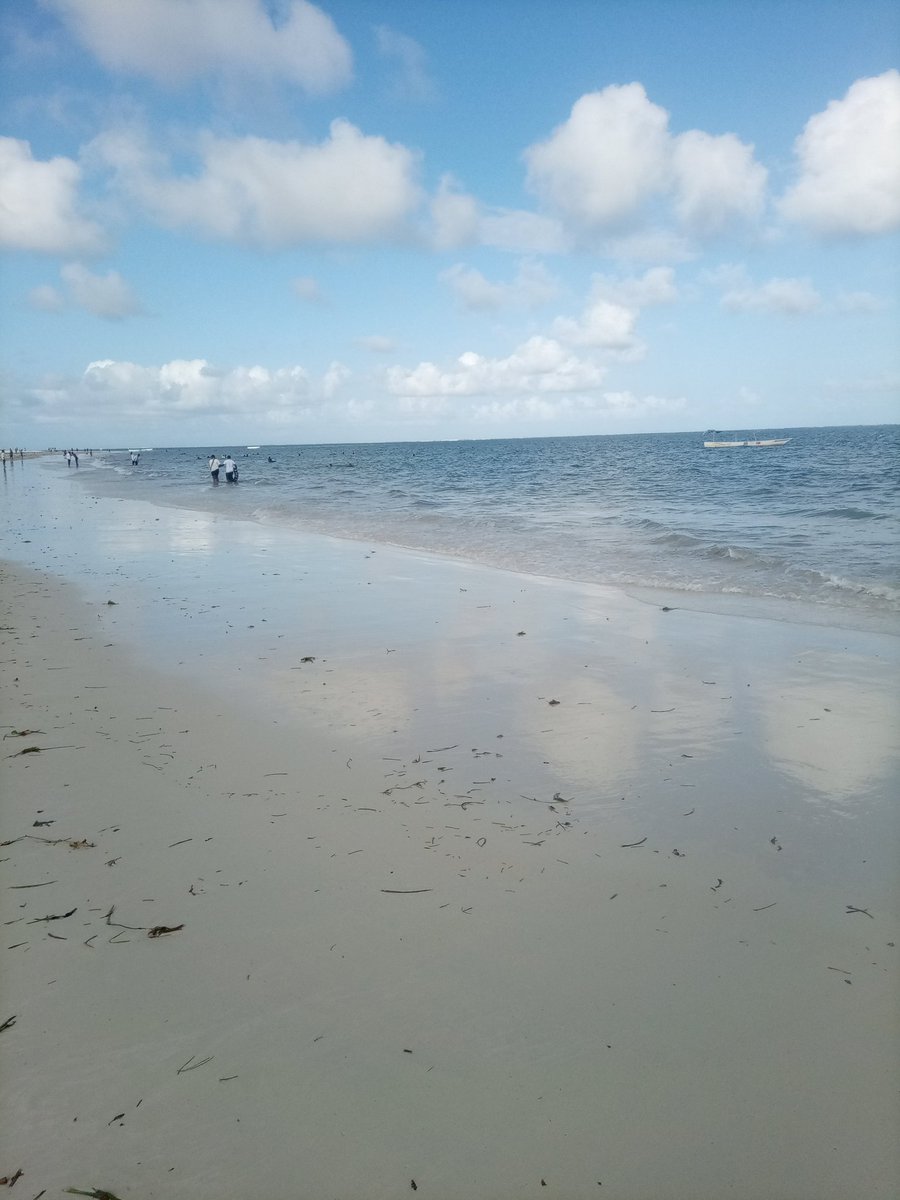 FreeForexTradi1's tweet photo. @queerintech Mina bodyguards are gonna make you miss seeing the nice white sandy beaches of Mombasa etc. https://t.co/ZbP3jZVPDA