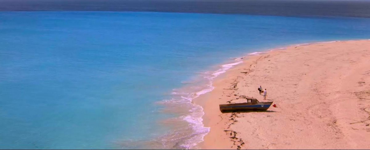 "La fuga de Twitter/X y la larga marcha de las migraciones digitales" hipermediaciones.com/2024/11/17/la-… Un breve análisis en clave ecoevolutiva de las migraciones interplataformas, con referencias a Bill Gates, Elon Musk, Mark Zuckerberg, el Sr. Burns y Vladimir Propp #MediaEvolution