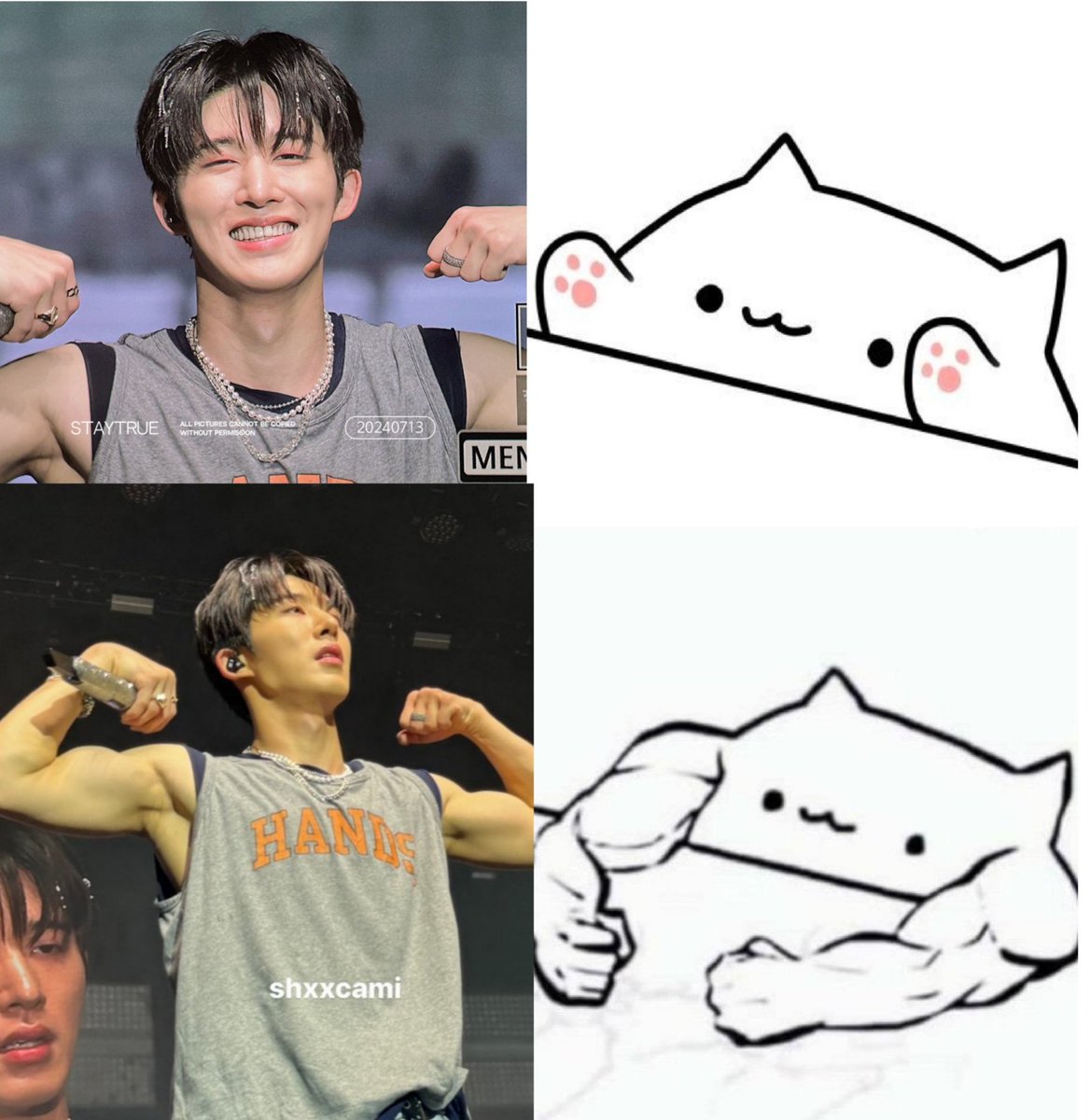 tbvhanbin's tweet photo. baby meow meow https://t.co/0pLMnGbpYX
