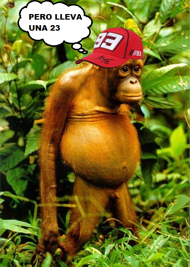 Carlos 4⃣6⃣🌞🌙 tweet media