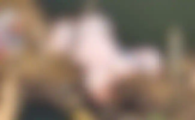 Headless Body Of 2-Year-Old Meitei Hostage, Grandmother Killed By Suspected Kuki Militants Found In Manipur River ndtv.com/india-news/hea…