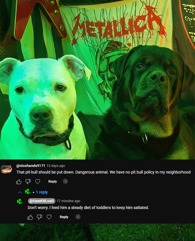 HawKNLoaD tweet media