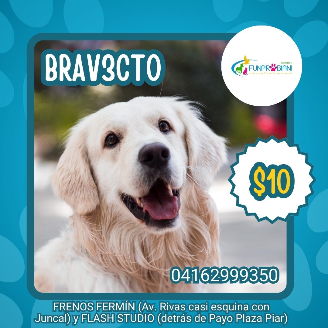 Mi meta es recuperar a todos los clientes que perdí por estar poniendo a vender a terceros, estamos en #Maturin y nos sostenemos con la venta de comprimidos contra pulgas y garrapatas. Inf. Por el tel 04162999350. Gracias por RT