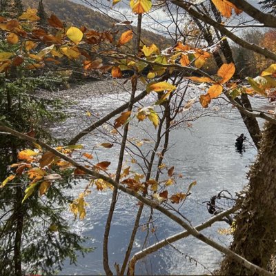 Tingley75 tweet media