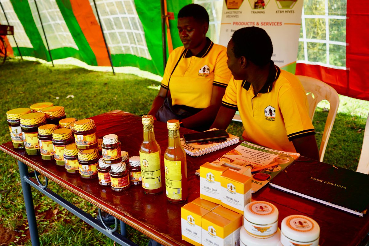 NetoAgostinhoMP's tweet photo. We get the #UGMParty Busia County Gig underway at Butula Youth Polytechnic. #Politicsmadefun. Loads of music, greenpreneur exhibitions,and a football game. We keep working on innovative ways to do politics @siasaplace @GreenForumSwed #kumekucha https://t.co/nu86InadNu