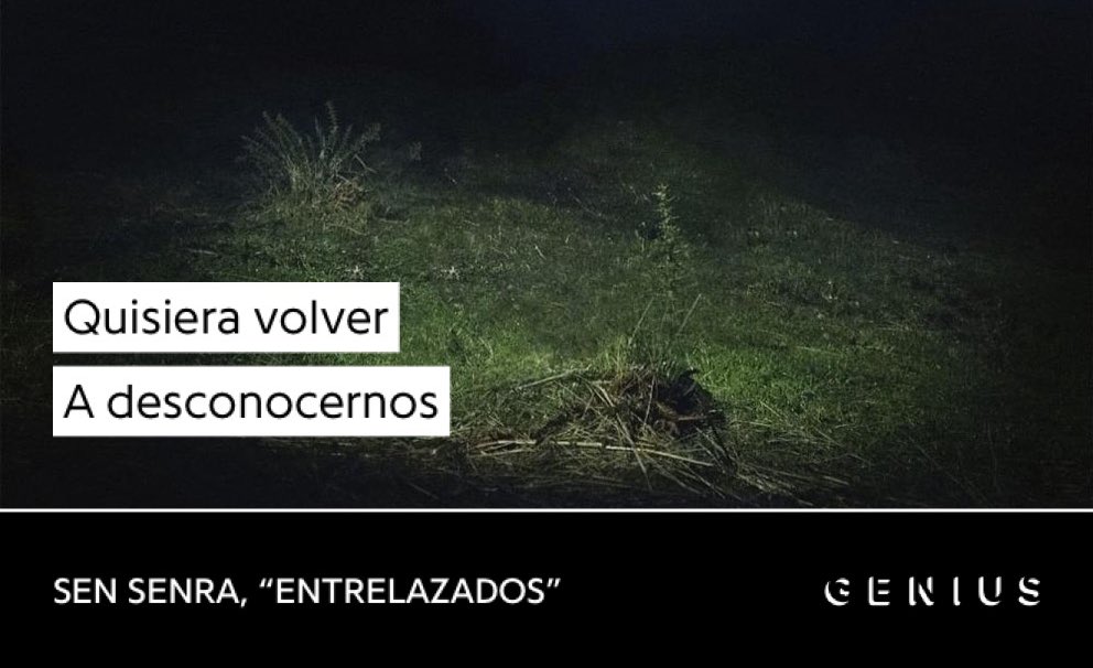 annflxke's tweet photo. el álbum se titula PO2054AZ VOL.II pq supongo q “derribo emocional y destrucción” era demasiado explicito https://t.co/vlNeS2tzZs