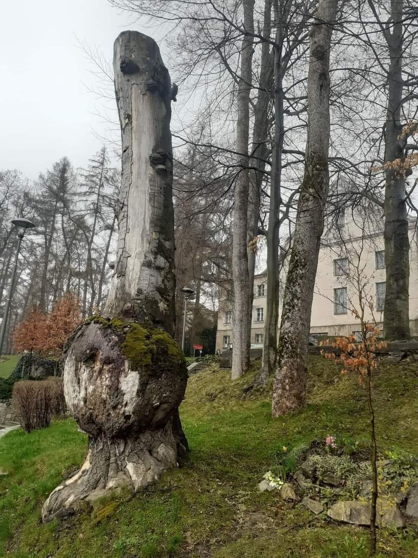 MalaSycylia's tweet image. Kłodzko #powódź. Tusk doczekał się pomnika #WyNieBacTuska