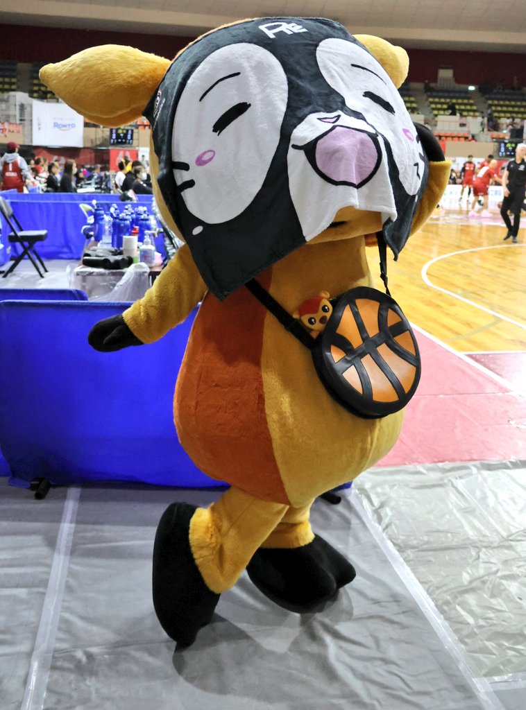 aifl314's tweet photo. ＃れぶッチェ　？
＃シカにゃん　？
コラボするとこんな感じかしら？(笑)

どの角度から見ても
可愛すぎた♡(笑)

#シカッチェ ✕ #れぶにゃん
＃バンビシャス奈良
#鹿児島レブナイズ https://t.co/Mj3B2nLTCv