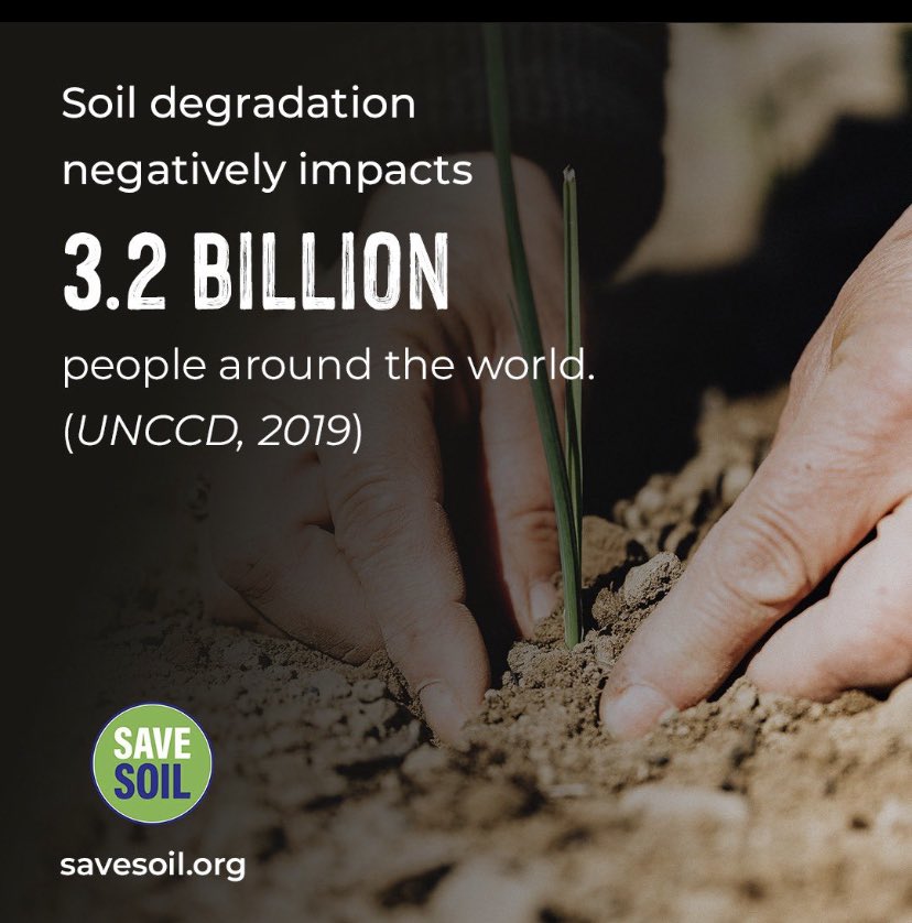 MSavesoil's tweet photo. @cpsavesoil Financial empowerment to restore carbon in #soil is needed NOW!
We hope: The world ๐can find solutions to make #agriculture REGENERATIVE ๐ฑ
๐and mitigate #ClimateCrisis!
Incentives for sustainable farmers!๐ณ
#COP29Baku
#SaveSoilForClimateAction
#COPSoil
#Agroforestry https://t.co/fuDQRc9xTX