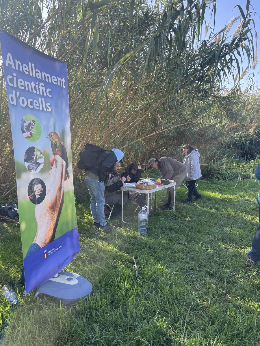 Medi Ambient/Salut Pública -Aj.Sant Adrià de Besòs tweet media